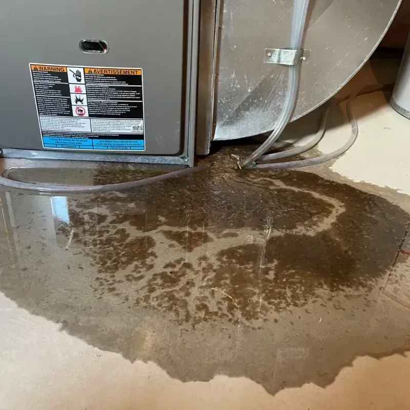 Appliance Leak Cleanup in Kachina Village, AZ